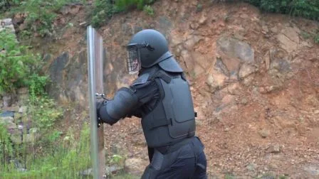 Police Equipment Tactical Anti Riot Suit Anti Riot Gear